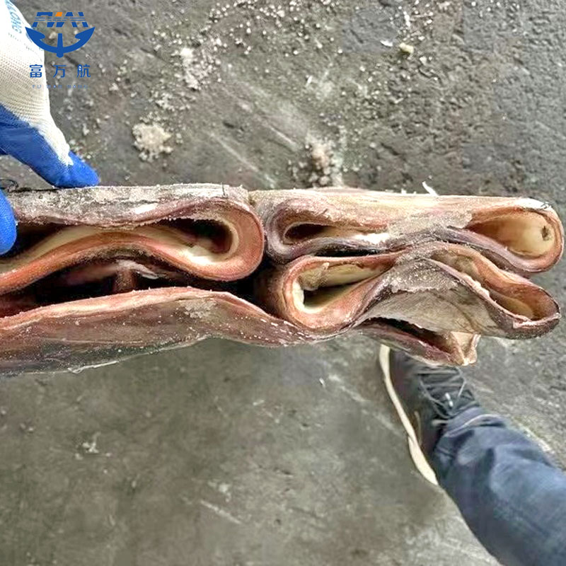 Sea Frozen Giant Peru Squid Raw Tube Squid Meat