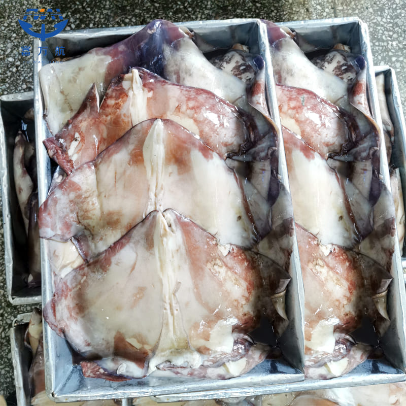 Fresh Sea Frozen BQF Peru Squid Wing