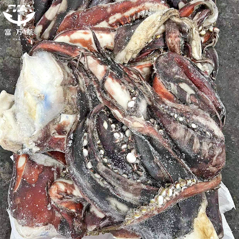 Frozen Giant Squid Head