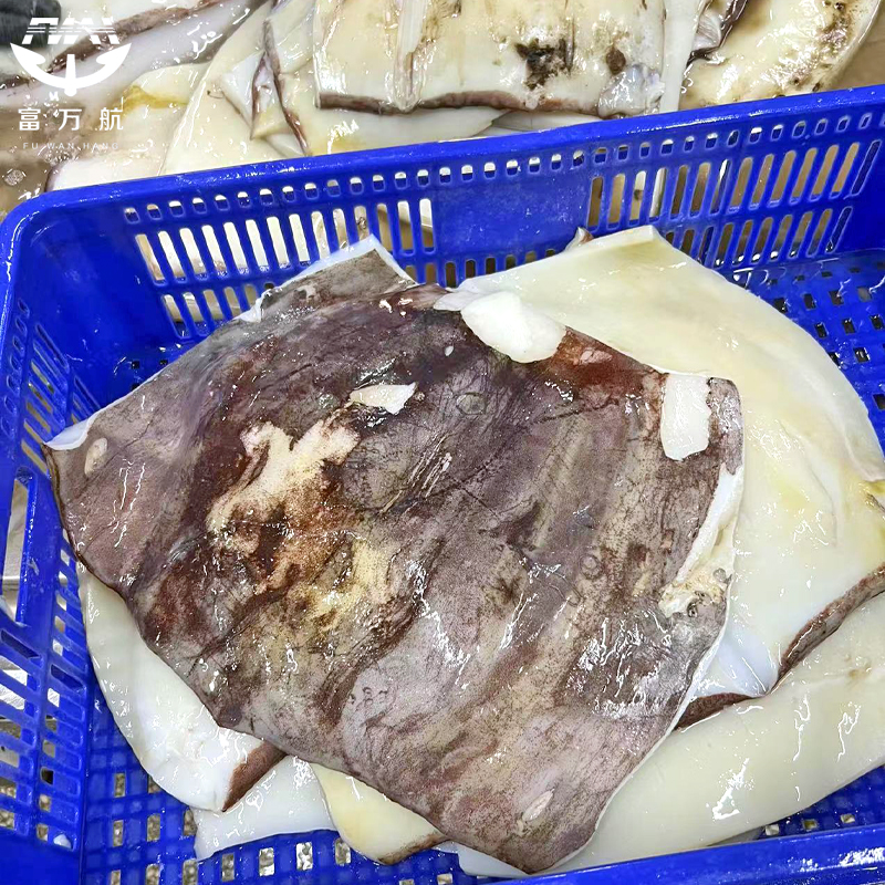 Frozen squid fillet