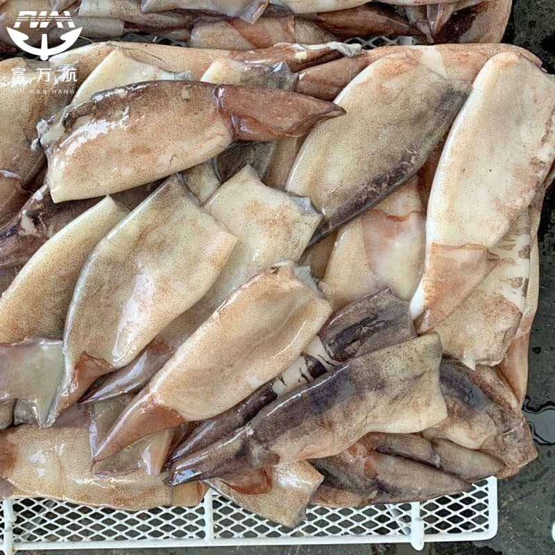 Frozen Illex Squid Tubes