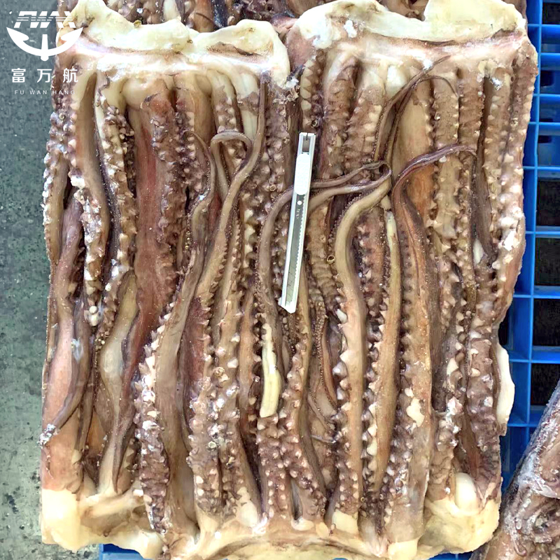 Frozen Giant Squid Tentacles