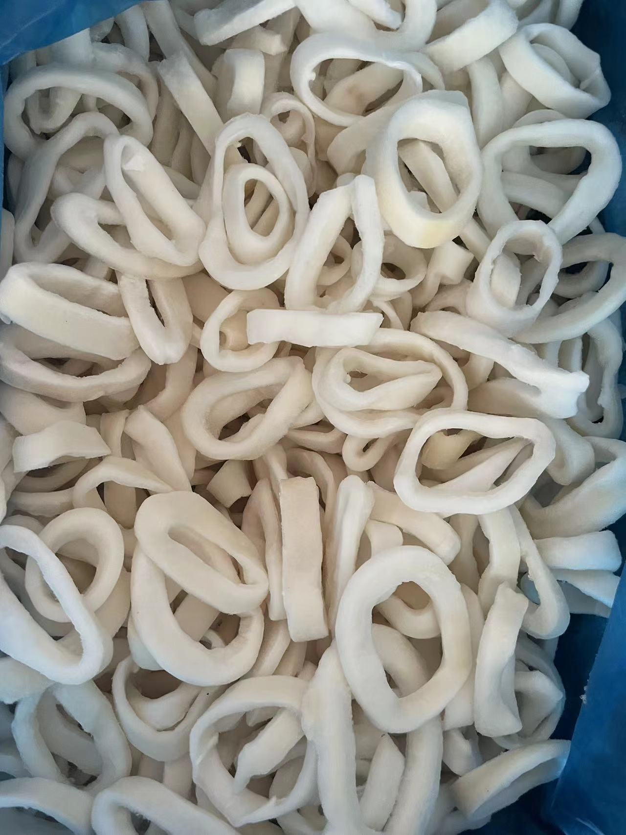 Broken Frozen illex Squid Ring