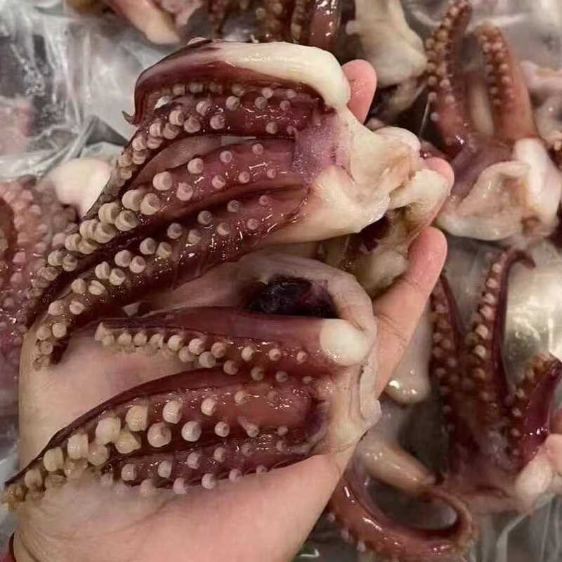 Frozen squid tentacle