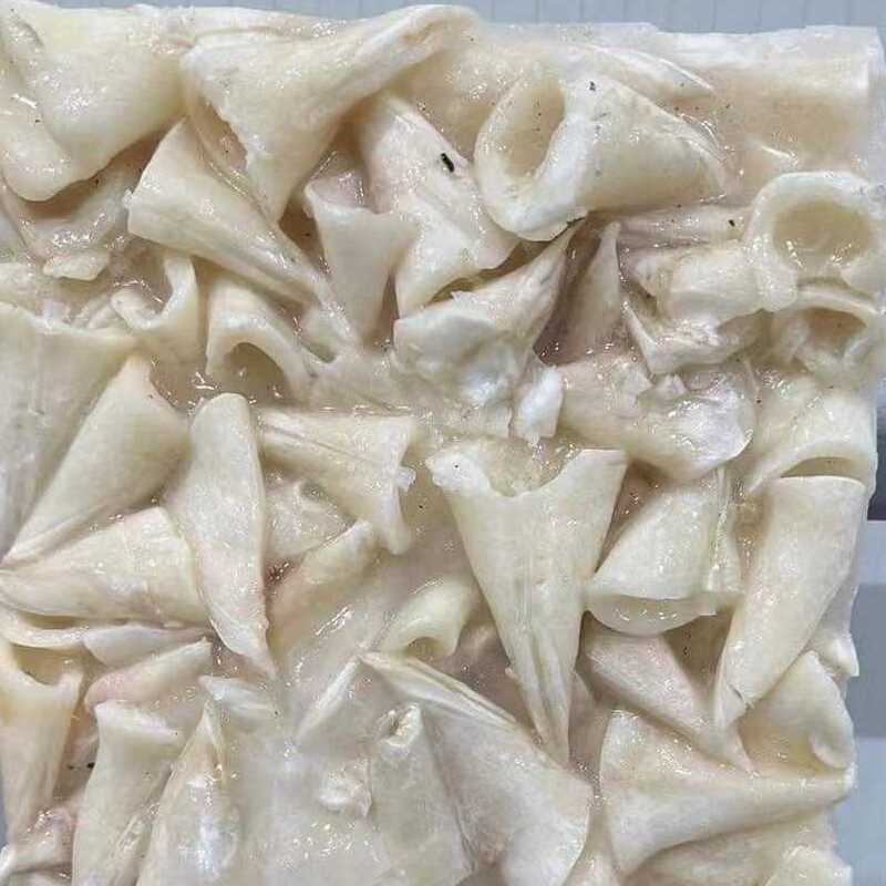 Frozen squid strip