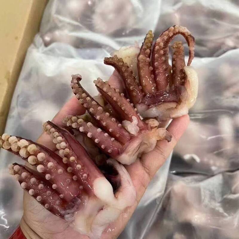 Frozen squid tentacle