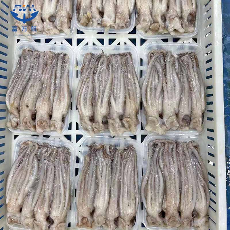 Frozen squid head