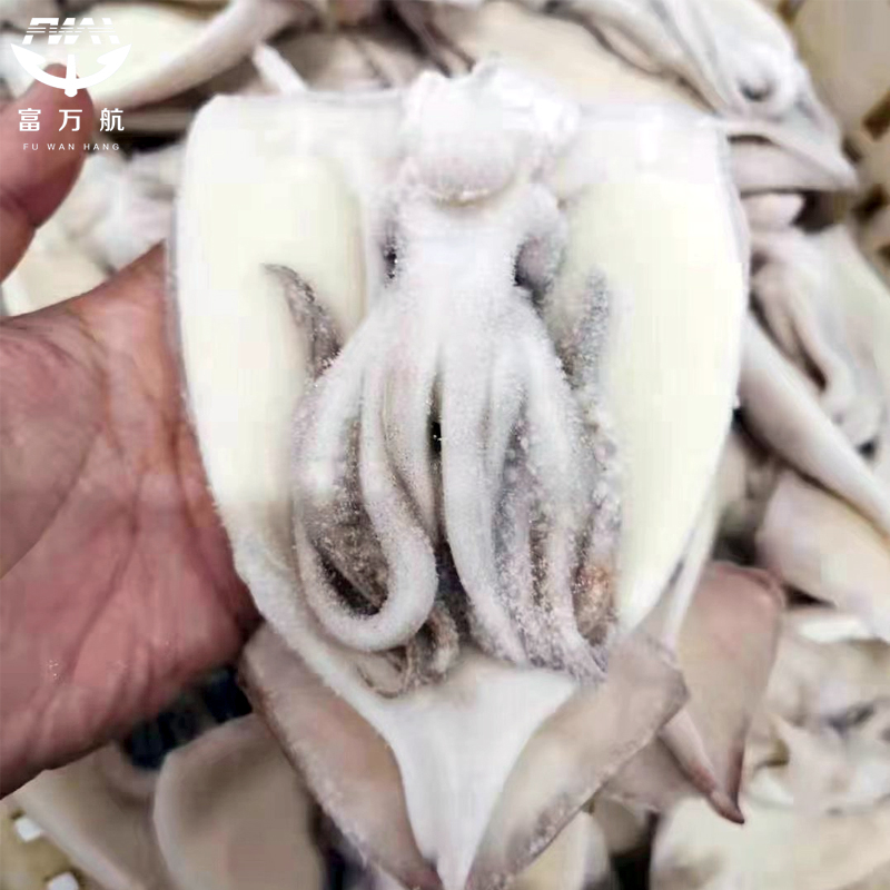 Frozen squid gutted