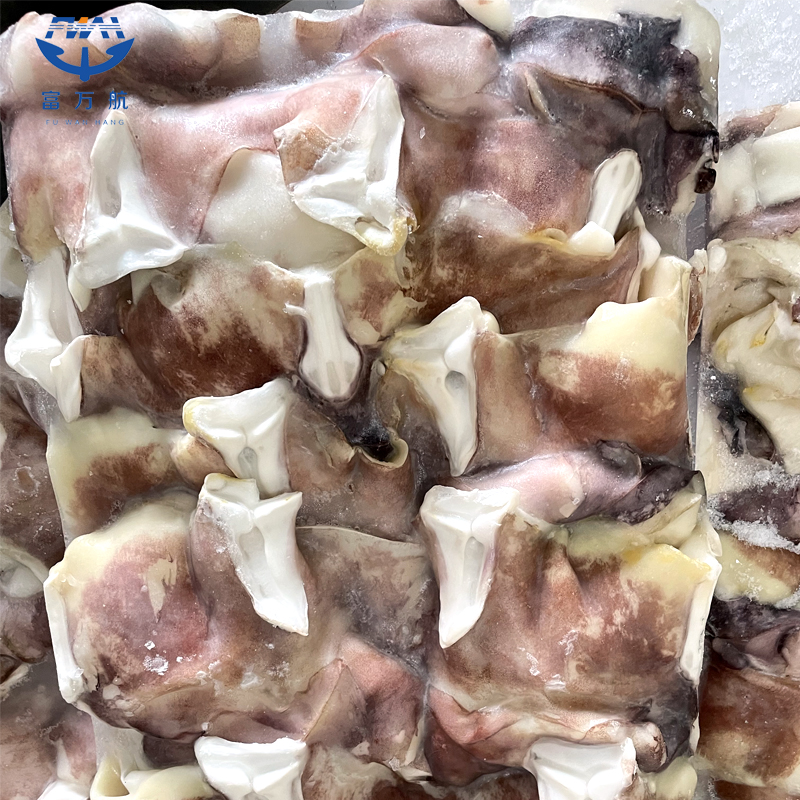  赤道鱿鱼脖子