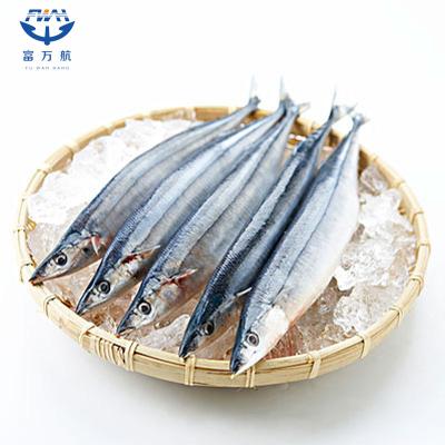 日本冷冻海鲜太平洋秋刀鱼