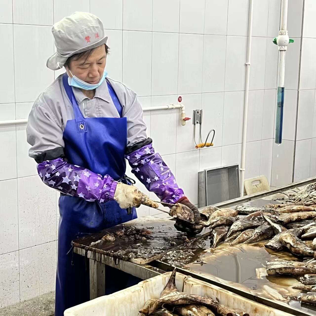 欢迎来fuwanhang seafood 的工厂看产品！